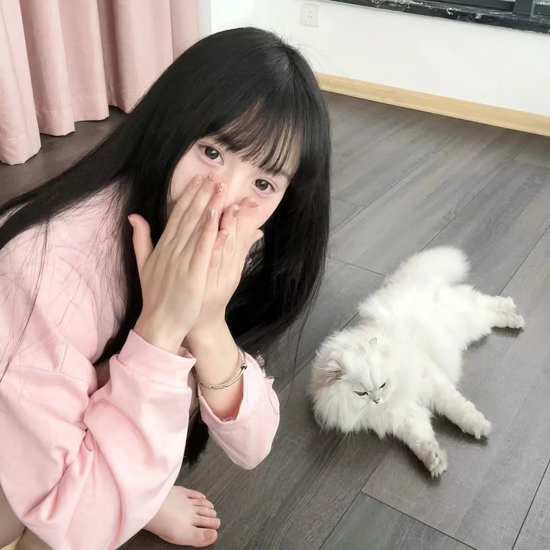 熊盖毒